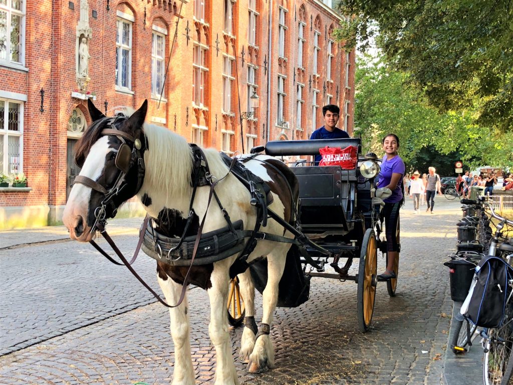 Bruges horse carriage ride 3