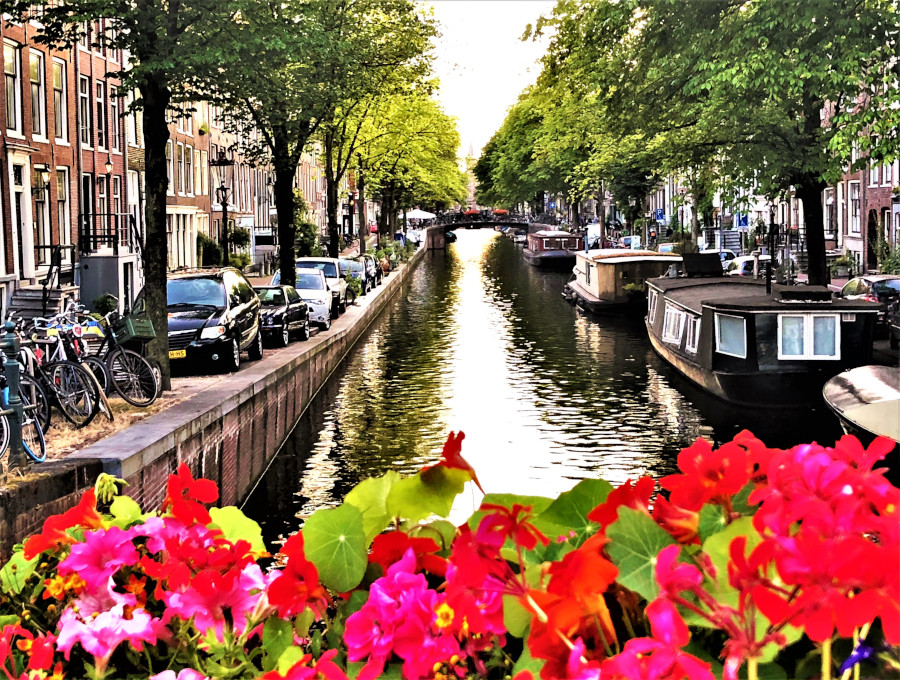 Visiting Amsterdam, Netherlands: A detailed travel guide on why it’s so easy to fall in love with this European gem - Land Of Travels