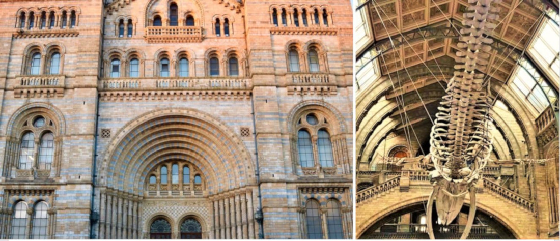London in 6 Days : Exploring Natural History Museum in London