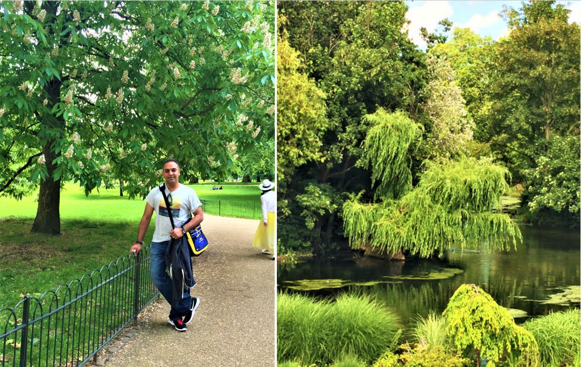 Strolling along St James' Park in London