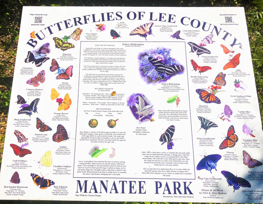Butterfly Garden Manatee Park