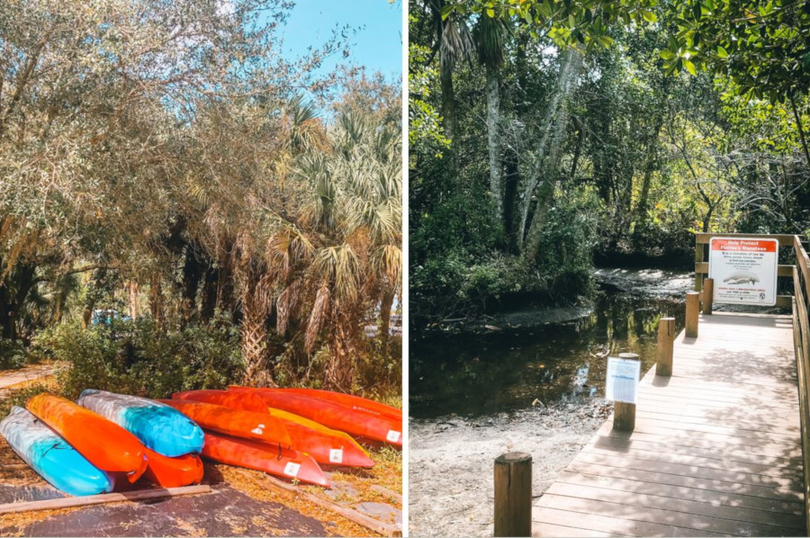 Manatee Park In Fort Myers, Florida | Land Of Travels