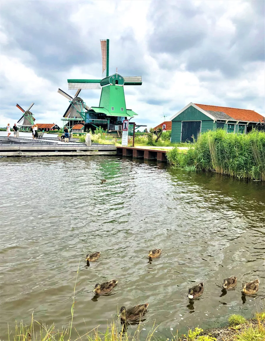 One Day In Zaanse Schans Netherlands - the best things to do