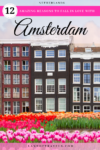 12 Reasons to fall in love with Amsterdam