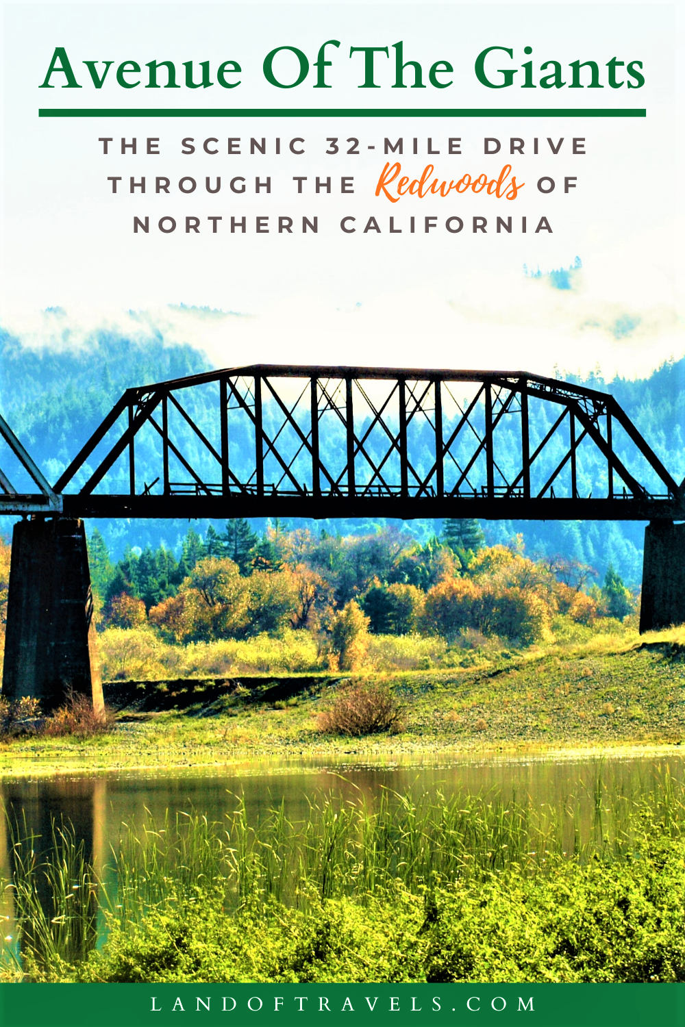 Visiting Avenue of The Giants: The Scenic Drive Through The Redwoods