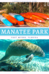 A Leisurely Stroll Around Lee County Manatee Park In Fort Myers, Florida