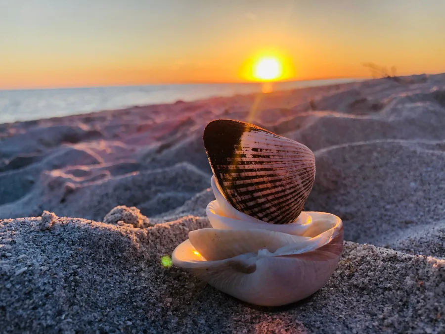 Shelling and Stunning sunset view from Sanibel Island 