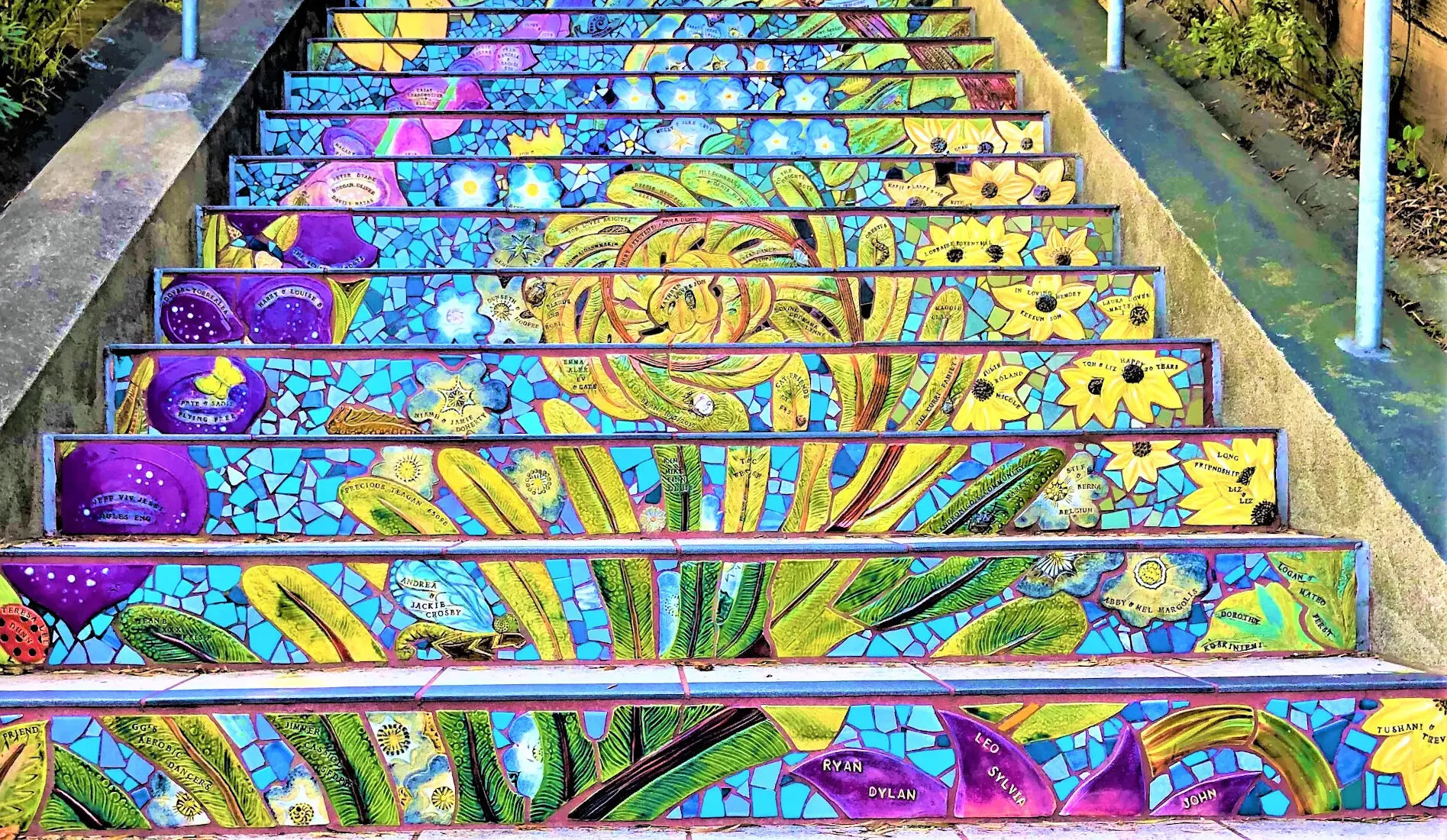 Hidden Garden Steps in San Francisco California