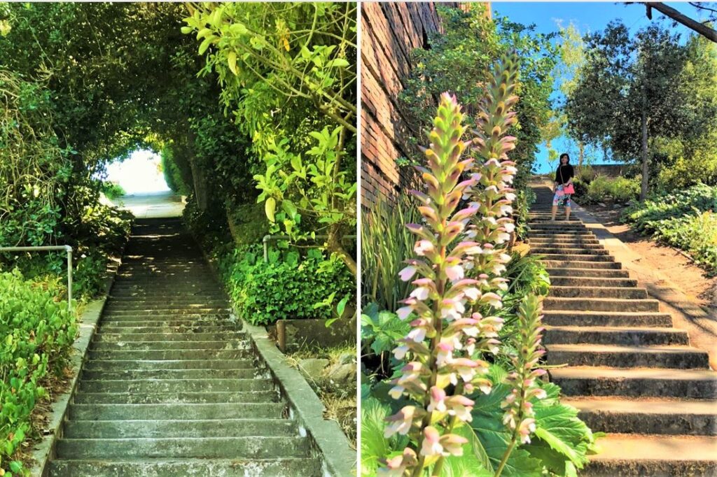 Baker Street Stairs - one of the must-see hidden staircases in San Francisco