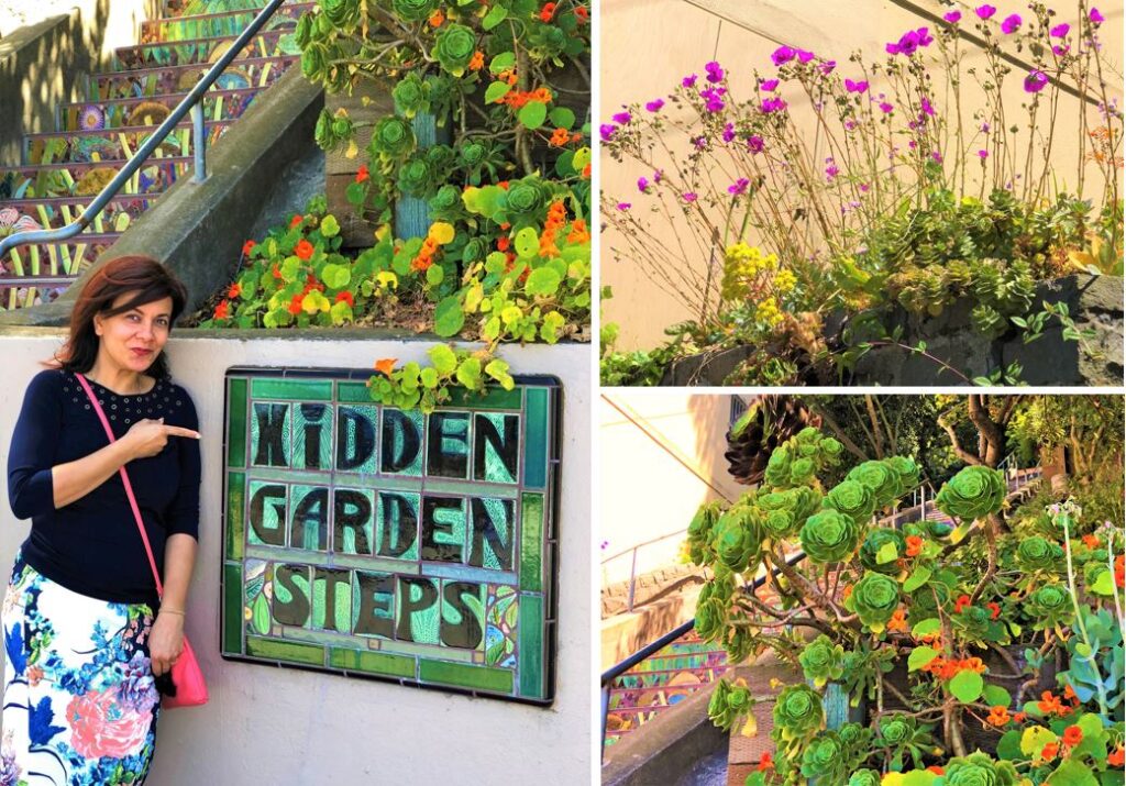 Hidden Garden Steps and the succulent garden around it in Inner Sunset District of San Francisco