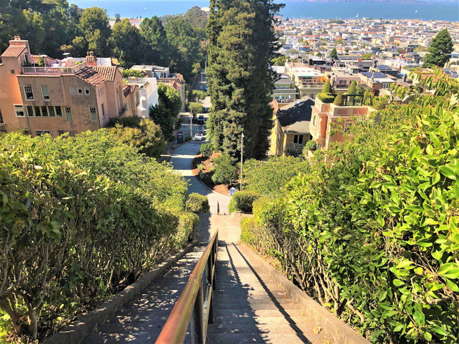 Steep climb down the Lyon Street Steps from the section between Vallejo and Green Street