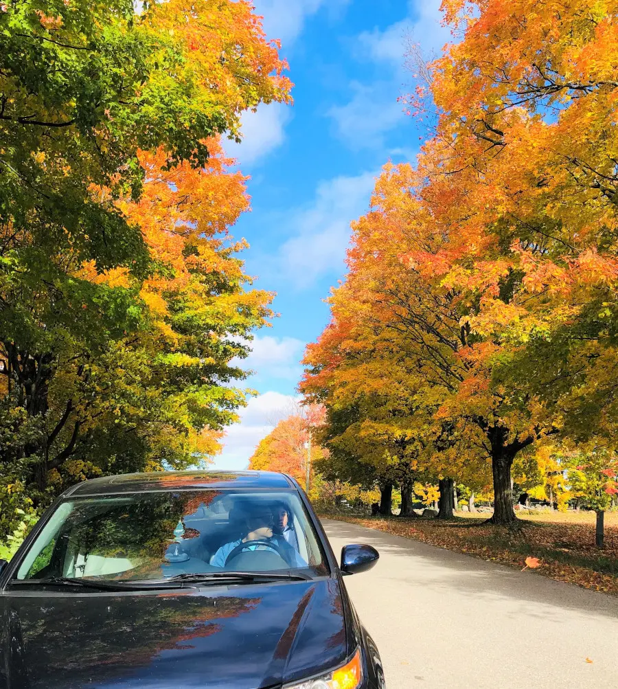 Fall season in Ontario