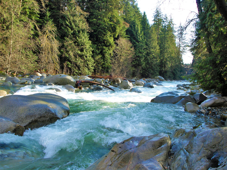 Lynn Headwaters Regional Park in Vancouver British Columbia