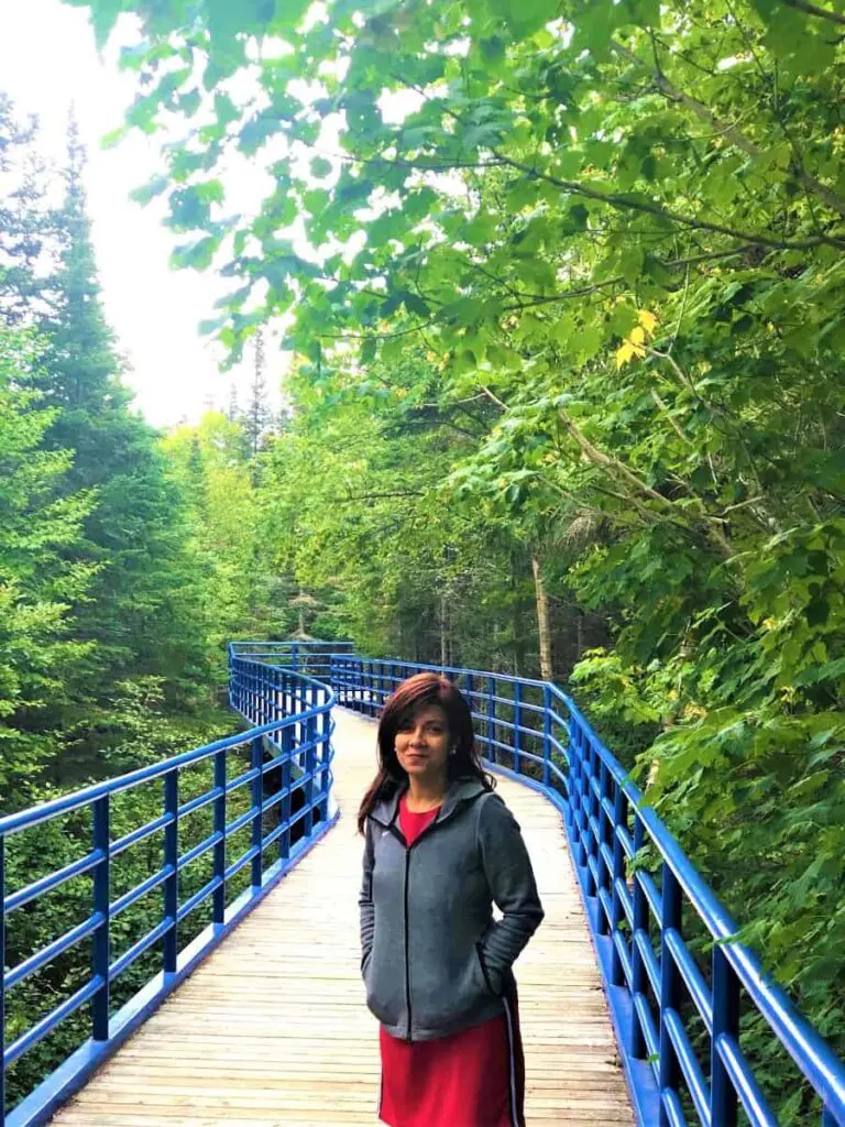 The boardwalk at the higher falls near Trans-Canada highway