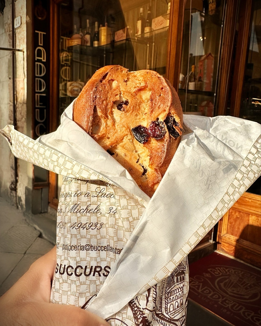 Traditional buccellato cake from Taddeucci bakery in Lucca, Italy — a sweet ring-shaped bread made with raisins and anise, displayed on a wooden counter.