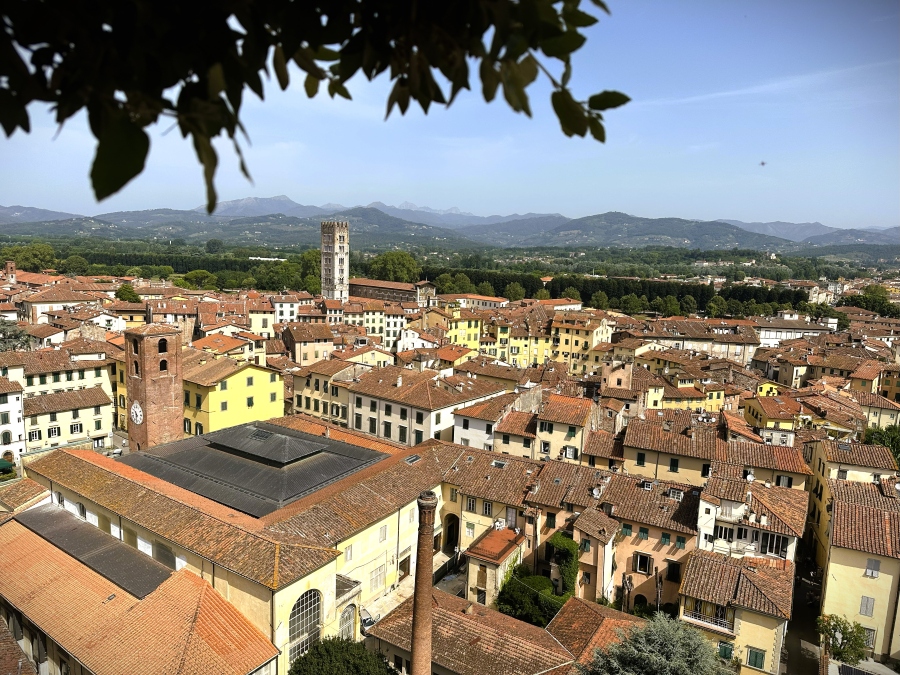 View from Torre Guinigi in Lucca, Italy — overlooking red rooftops, medieval towers, and the Tuscan countryside