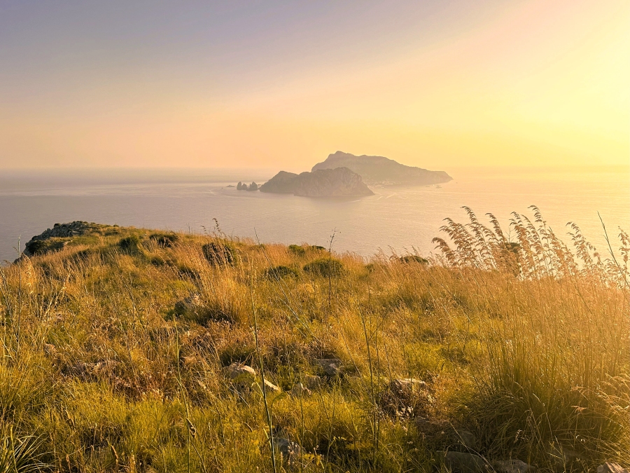 Golden-hour view of Capri from the ridge on the Sorrento Peninsula Sunset Hike, with warm light over Mediterranean grasses overlooking the Tyrrhenian Sea.
