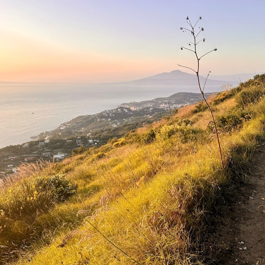 Golden hour view from the Sorrento Peninsula ridge trail, with golden grasses, coastal villages below, and Mount Vesuvius in the distance.