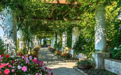 Villa San Michele Anacapri: Gardens, History and the Best Views in Capri