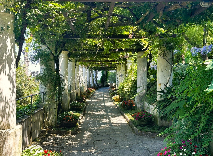 Pergola walkway at Villa San Michele in Anacapri, with stone path, white columns, flowering plants, and lush greenery overhead.
