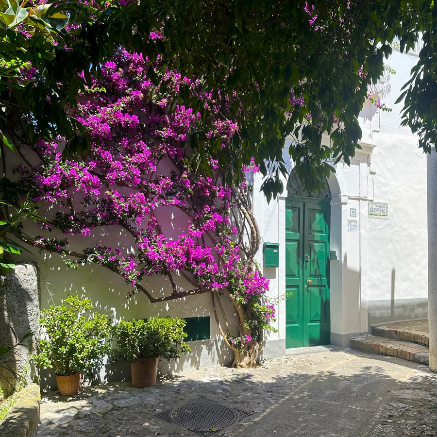 A quiet whitewashed lane in Anacapri with vibrant bougainvillea climbing above a traditional green door.