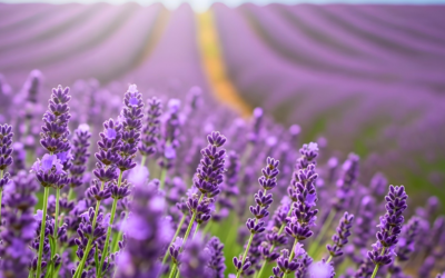 Why Travel Doesn’t Always Have to Be a Checklist : Learning to Slow Down